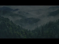 Soluzione di stoccaggio dell'energia e fornitore di servizi